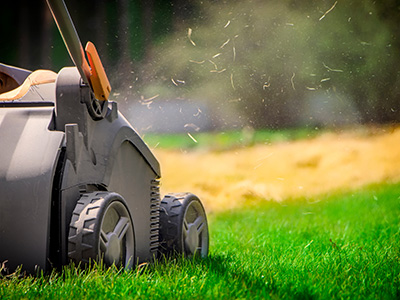 Serviço Jardinagem-Escarificação
