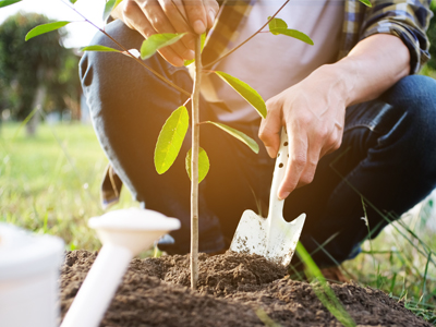 Jardinagem personalizada