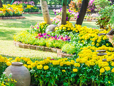 Limpeza e Remodelação de Jardins