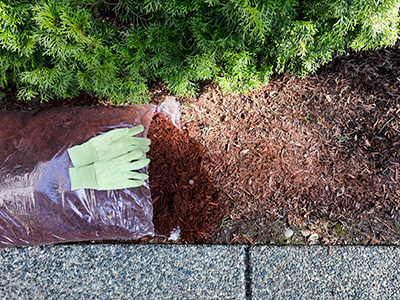 Serviço Jardinagem-Mulching